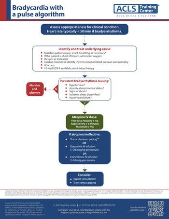 Bradycardia ACLS algorithm